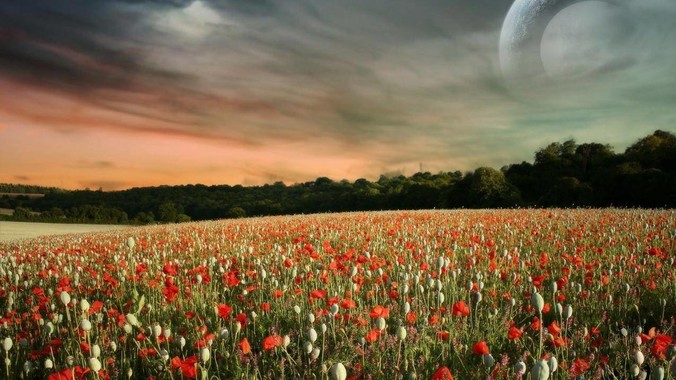 golang总体上有什么缺陷?